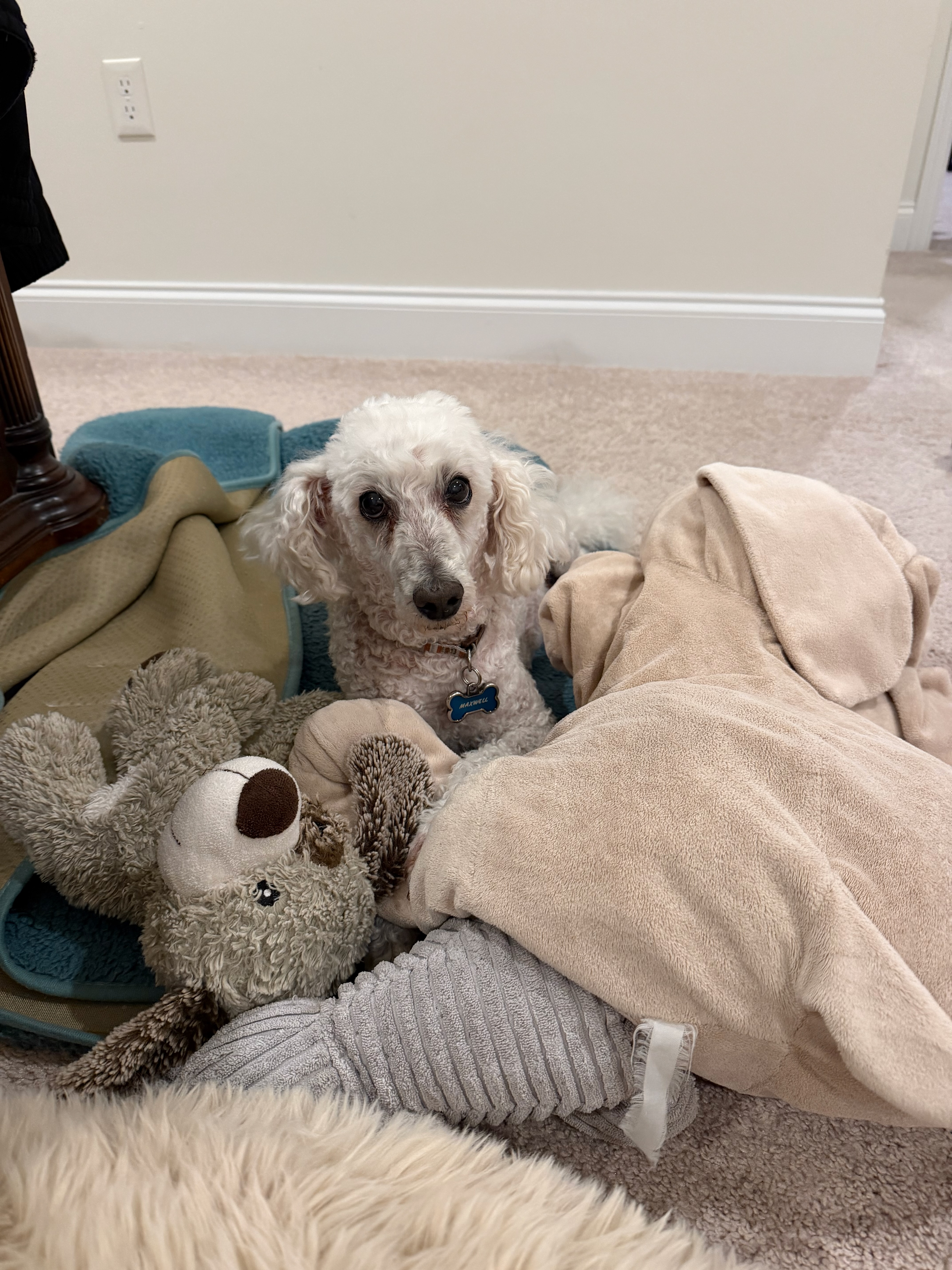 Daniel Cha with family